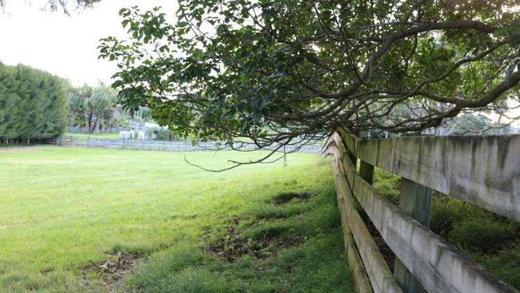 Brenda Gardner Way Maunu_6