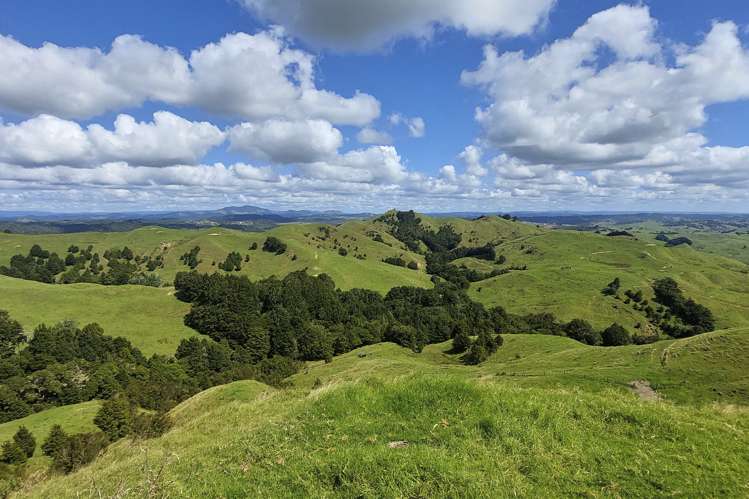 632 Marlow Road Maromaku_9