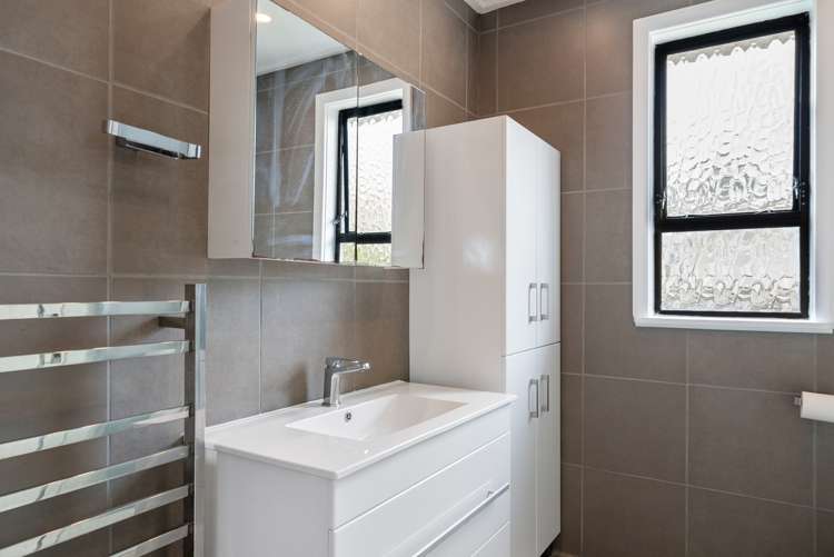 1 Rutland Street Levin_13