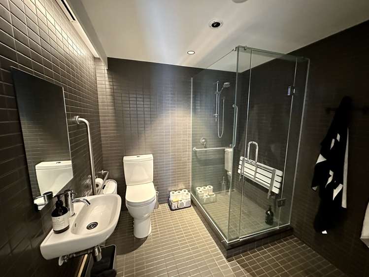 182 Ponsonby Road Ponsonby_11