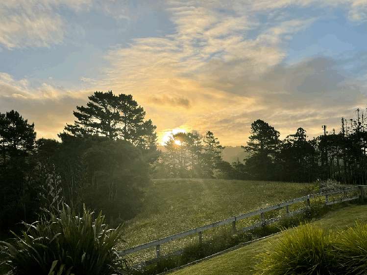 48 Christian Road Swanson_2