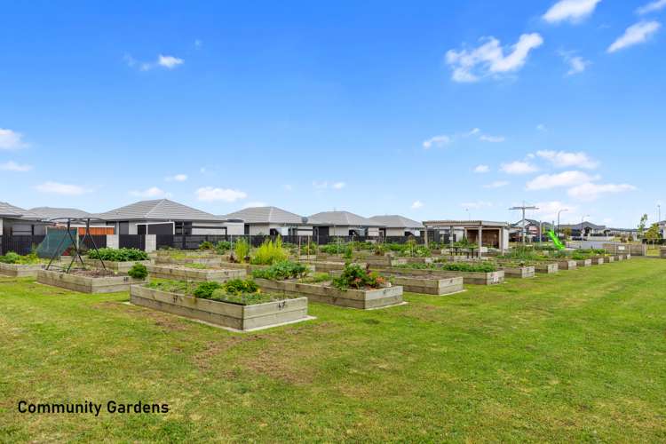 66 Arrow Close Papamoa_18
