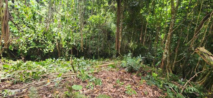 Lot 11 Raintree Estate, Oneva Savusavu_11