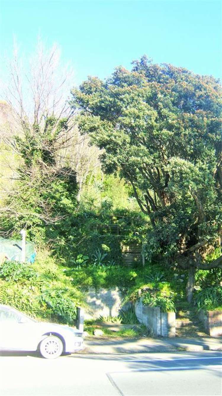 229 Haven Road Stepneyville_1