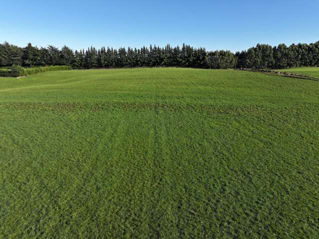 1601 Glencoe Highway Glencoe_2