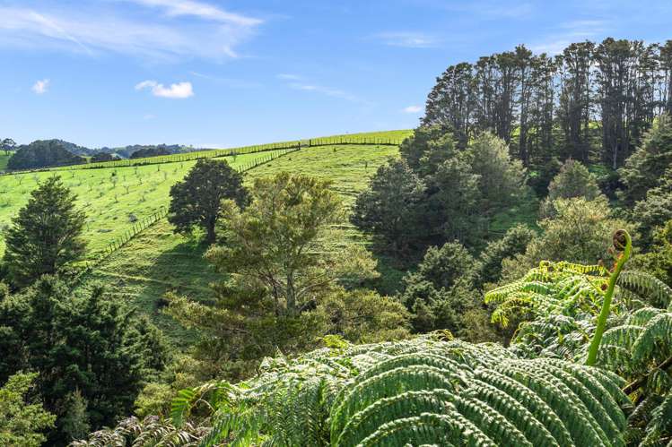 4 Omaikao Road Ngunguru_27