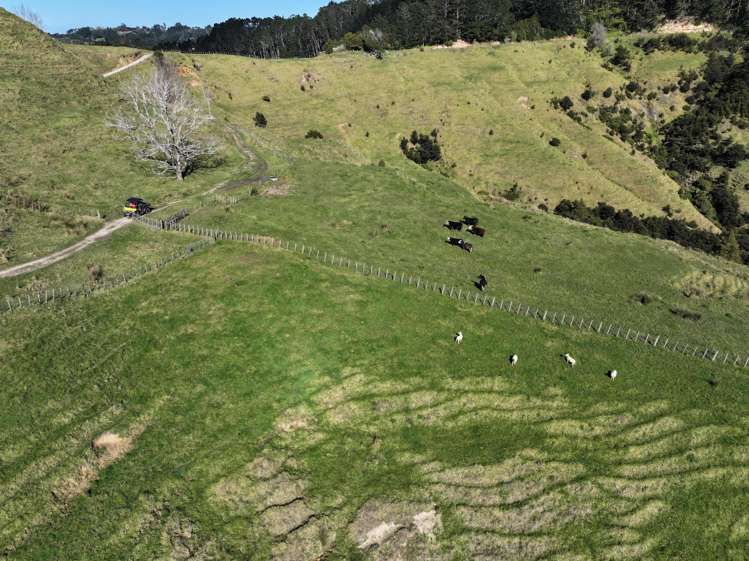 77 Remiger Road Puhoi_25