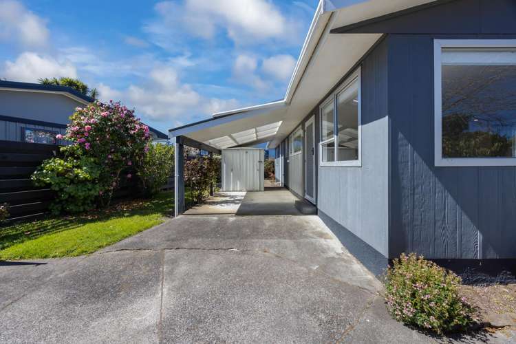 12A Park Avenue Waikanae_17