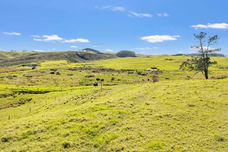 402 Baylys Coast Road Dargaville_11