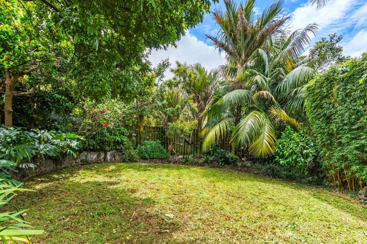 6 Prime Road Grey Lynn_21