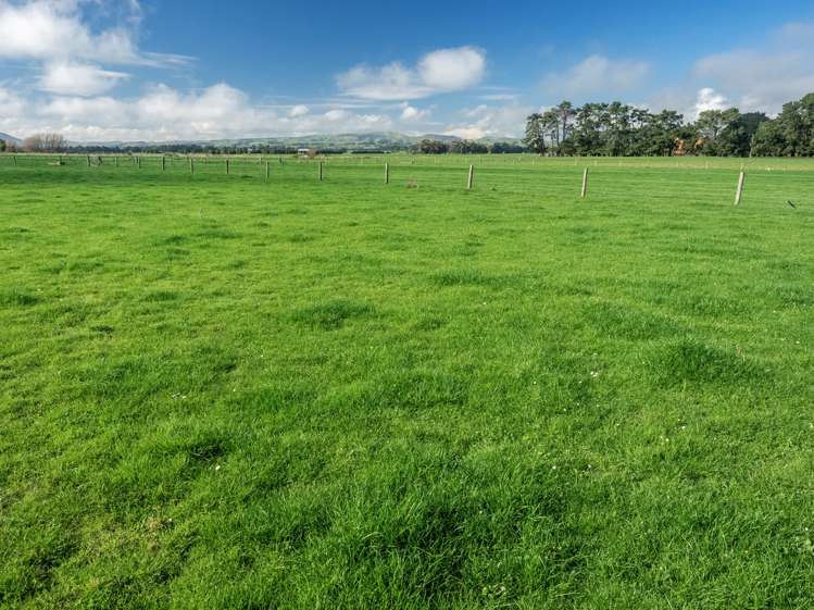 616 Lake Ferry Road Dyerville_10