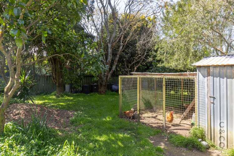 9 Elliot Street Riverhead_18