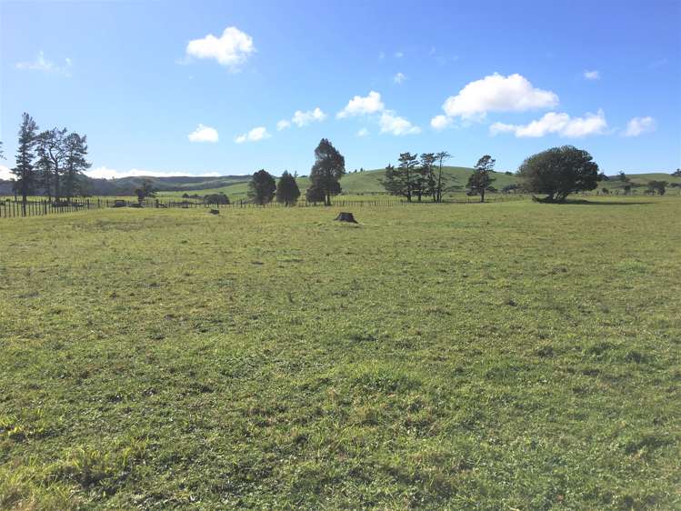 539 Martin Road Kaeo_14