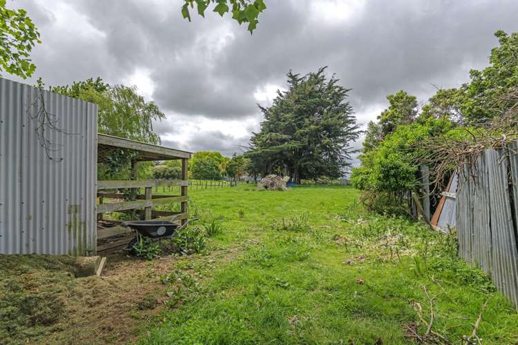 176 Bridge Street Bulls_19