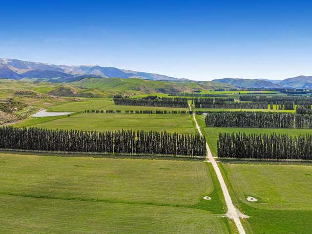 Outstanding irrigated grazing block