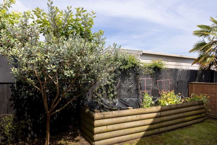 62a Hartford Avenue Papamoa_18