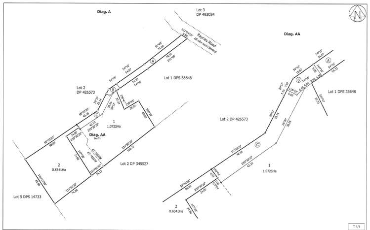 Lot 2/248 Raynes Rd Waipa_12