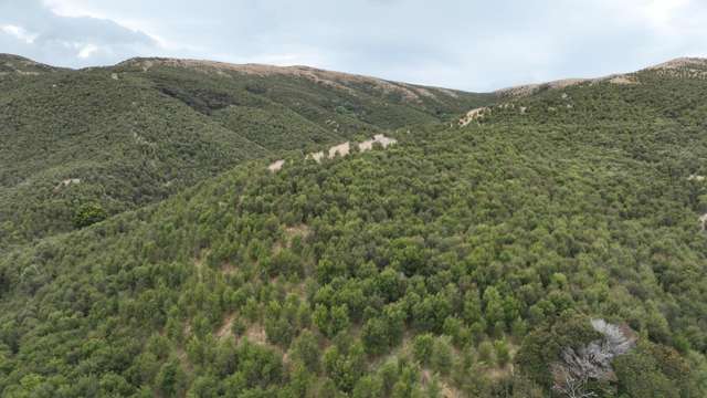 Waihoki Valley Road Pongaroa_1