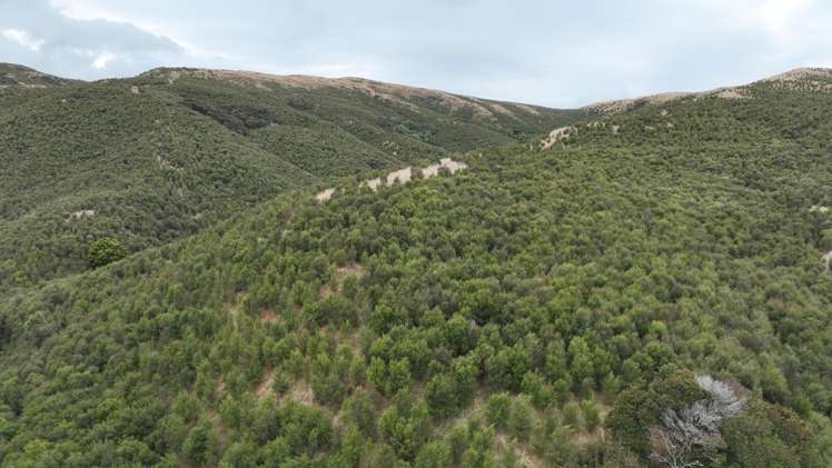 Waihoki Valley Road_1