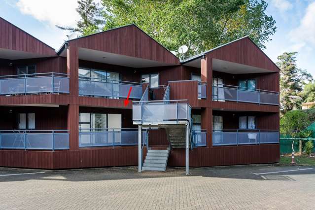 11/3 The Avenue Albany_1