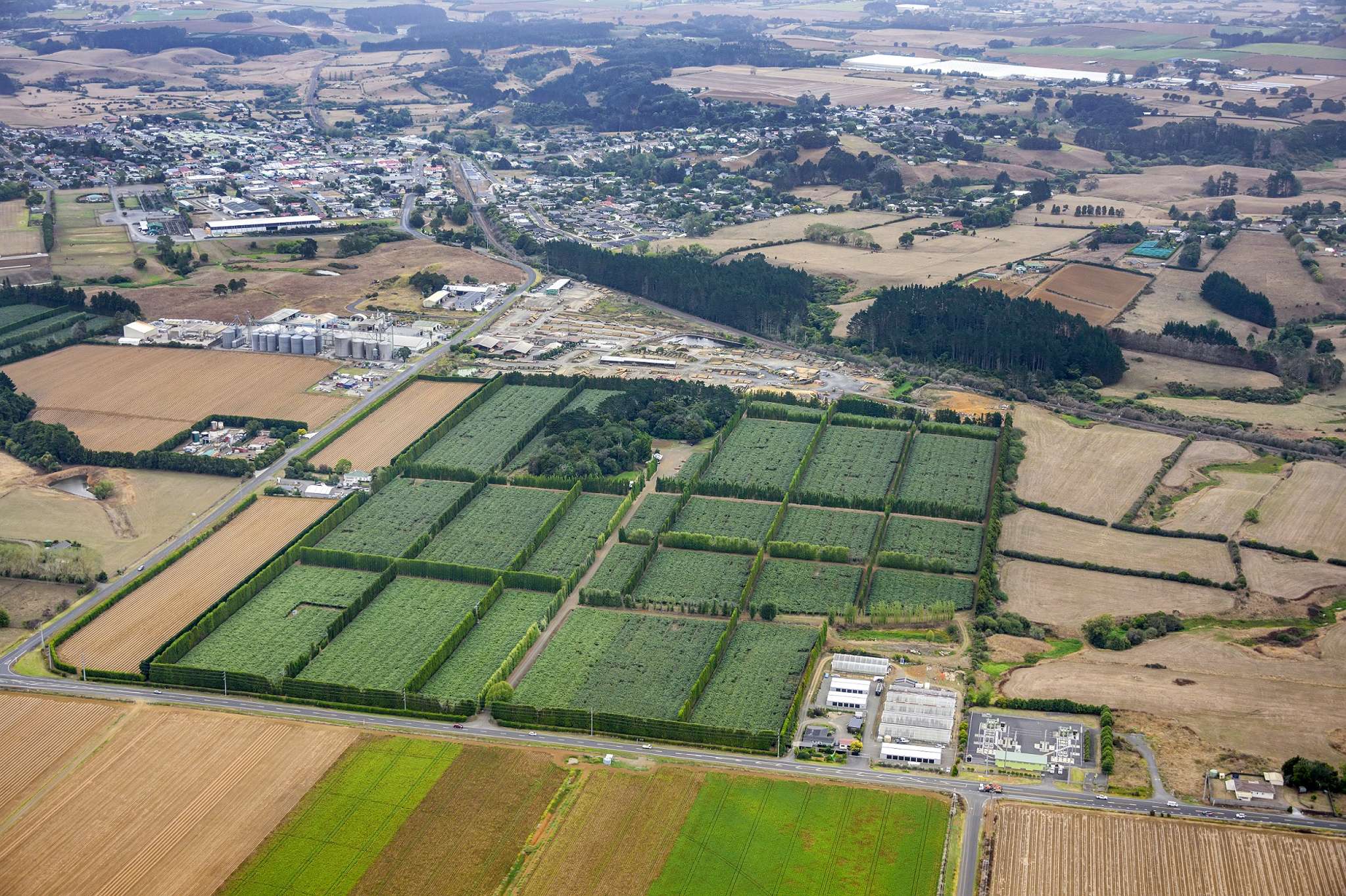 New Tuakau subdivision offers golden opportunity