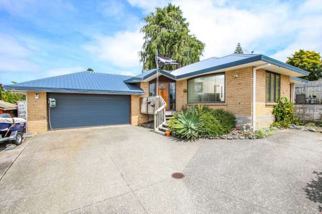 103 Gardner Avenue New Lynn_1