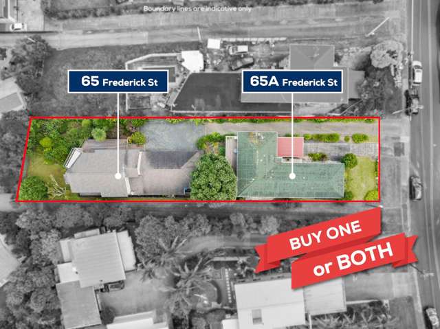 65a Frederick Street Hillsborough_1