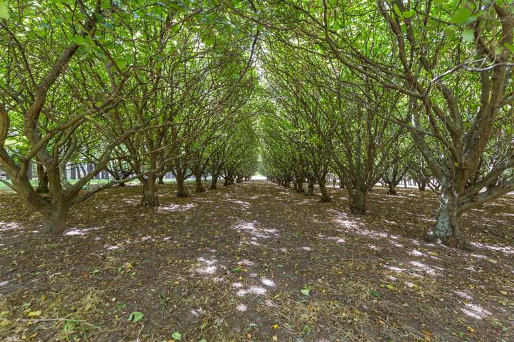 182 Robinsons Road Prebbleton_18