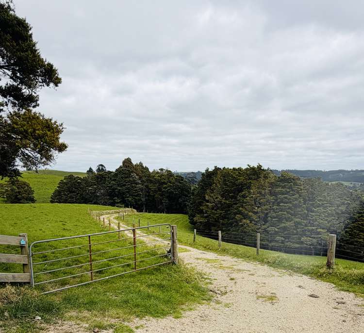 117 Pigs Head Road Whakapara_48