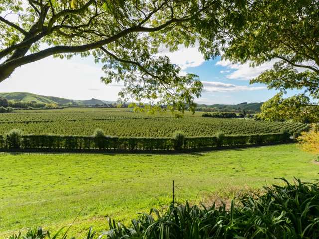 184 Breckenridge Road Puketapu_2