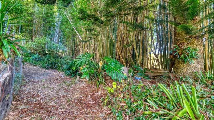 2025 Far North Road Waiharara_48