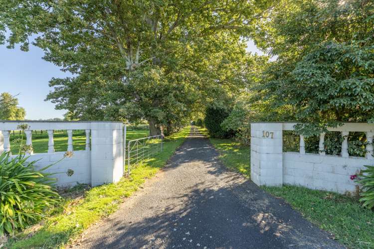 107 Horrell Road Morrinsville_31