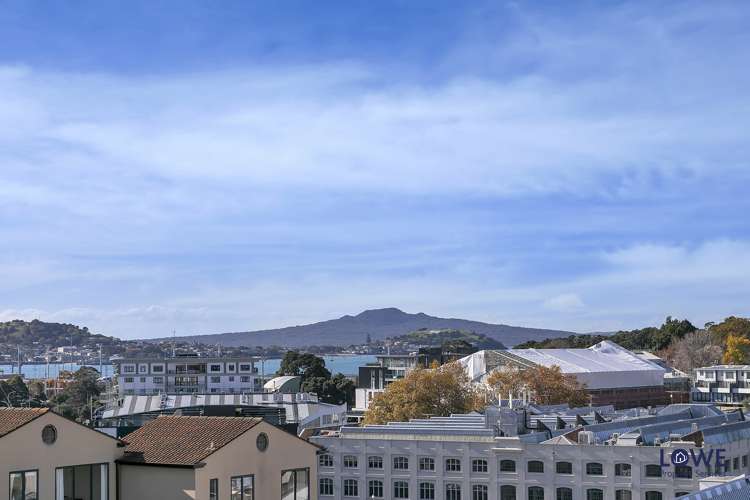 9 Churton Street Parnell_17