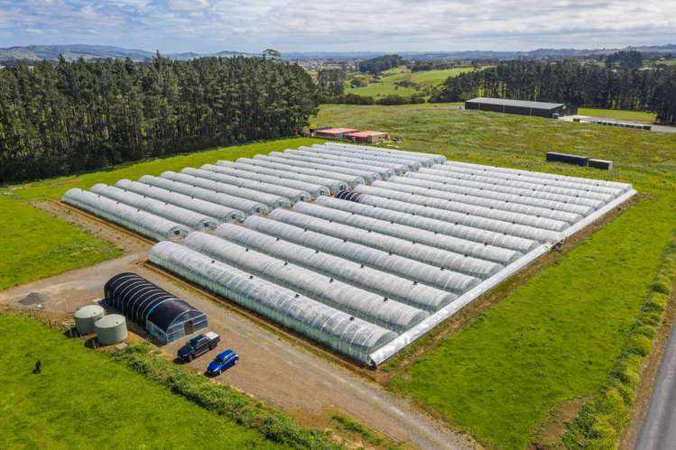 7 Ridge Road Tuakau_6