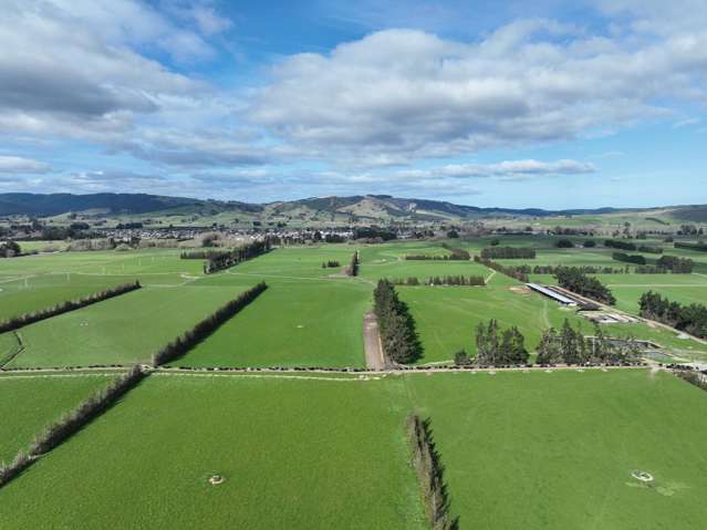 113 Scott Road Milton_2