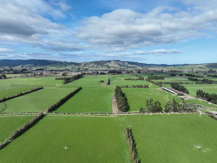 113 Scott Road Milton_2