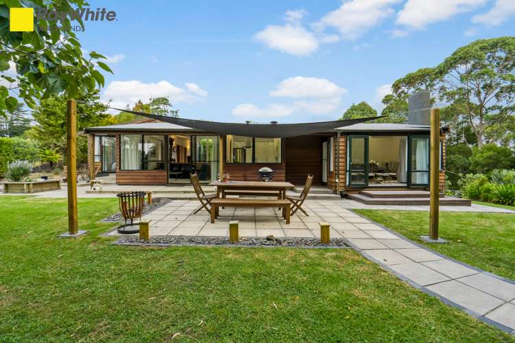 156 Ara-Kotinga Whitford_5