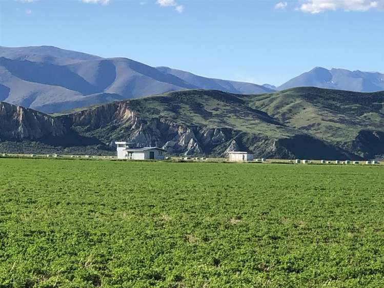 1341 Omarama-Lindis Pass Road Omarama_2