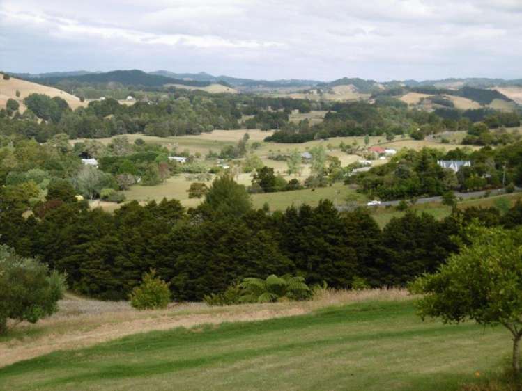 264 Vinegar Hill Road Kauri_4