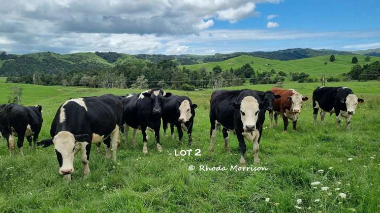 Golden Stairs Rd Maungaturoto_14