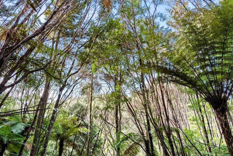 320 Upper Waiwera Road Puhoi_28