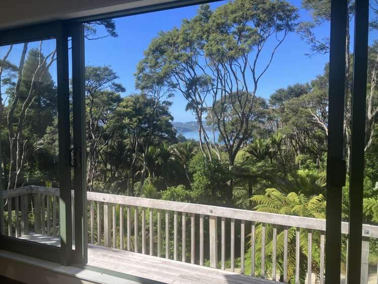 41 Tarapatiki Drive Whitianga_2