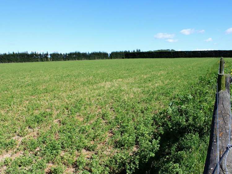 1199 Telegraph Road Darfield_15