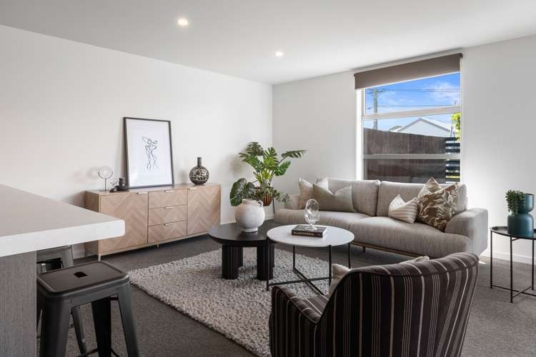 31 Seddon Street Sydenham_8