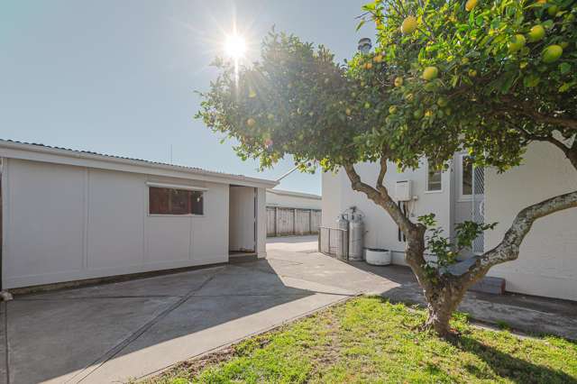 1103 Saint Aubyn Street East Parkvale_1