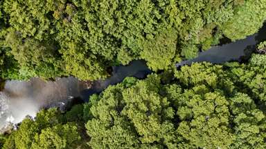 Lots 10-24 54a Redcliffs Road_2