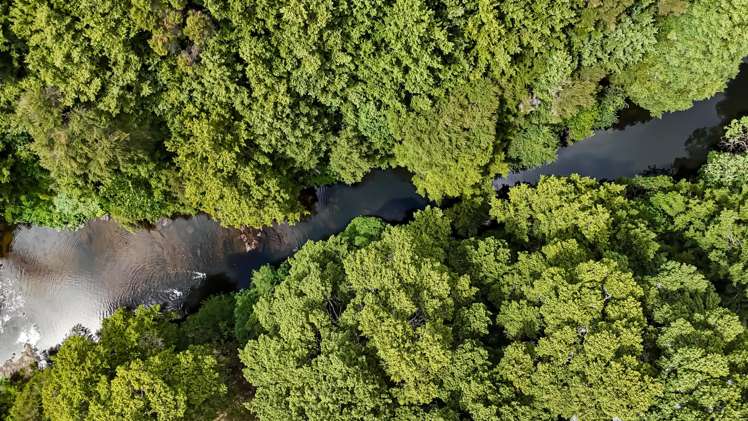 Lots 10-24 54a Redcliffs Road Kerikeri_2