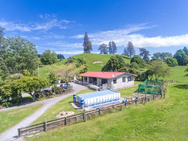 366 Yankee Road Rerewhakaaitu_2