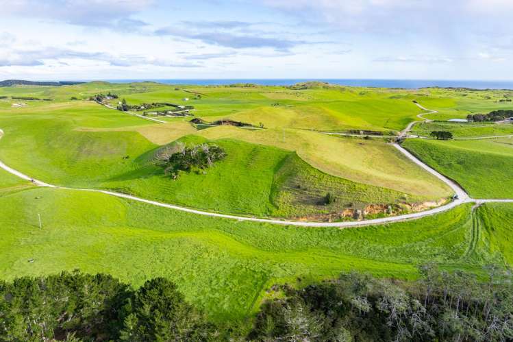 Lots 2, 3 and 4 Mahuta Road Dargaville_19