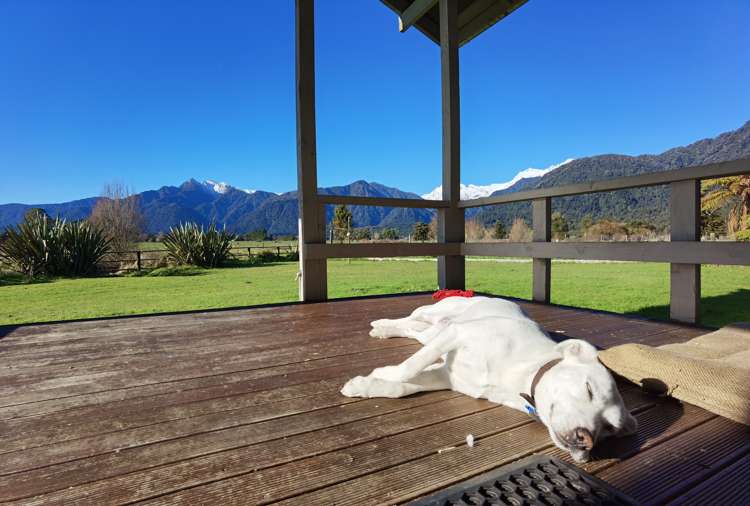 407 Fox Glacier Highway Franz Josef Glacier_13